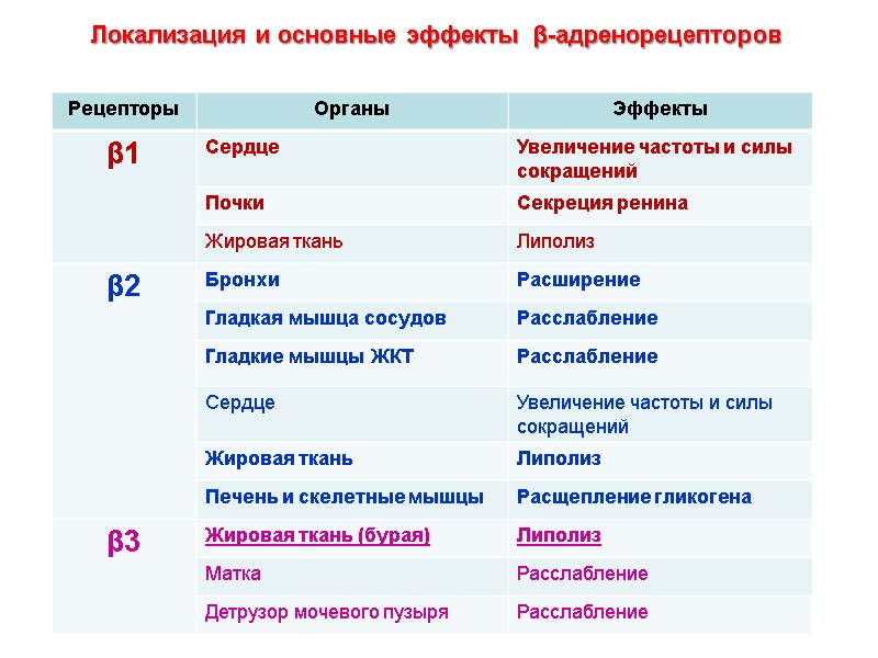 Локализация и основные эффекты  β-адренорецепторов